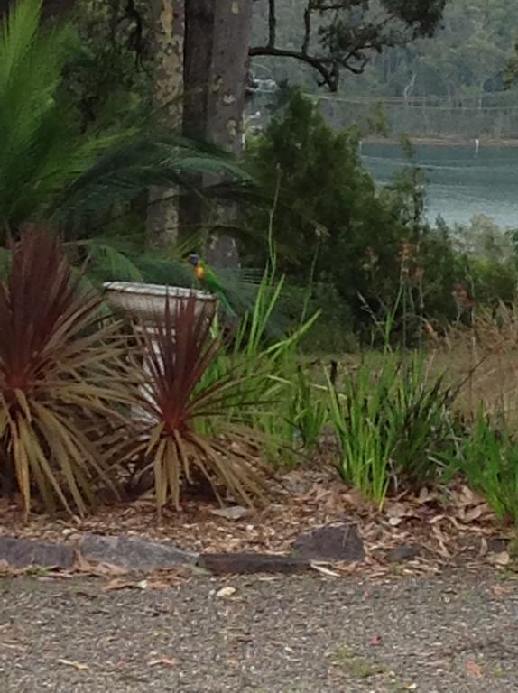 Motel Farnboro Narooma Exterior photo